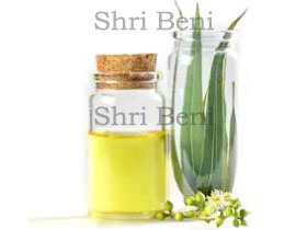 Eucyluptus Oil